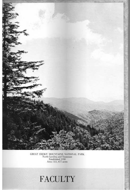 page-11.jpg