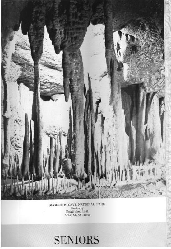 page-15.jpg