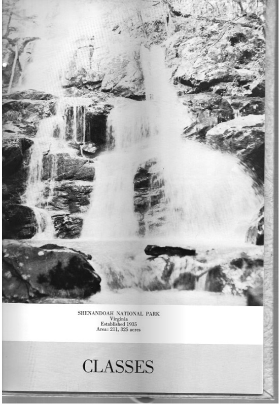 page-27.jpg