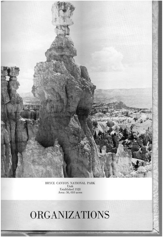 page-37.jpg