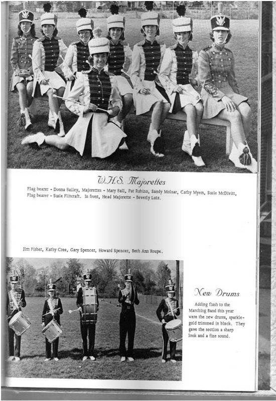 page-43.jpg