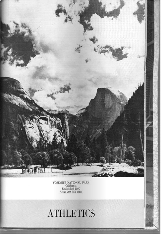 page-45.jpg
