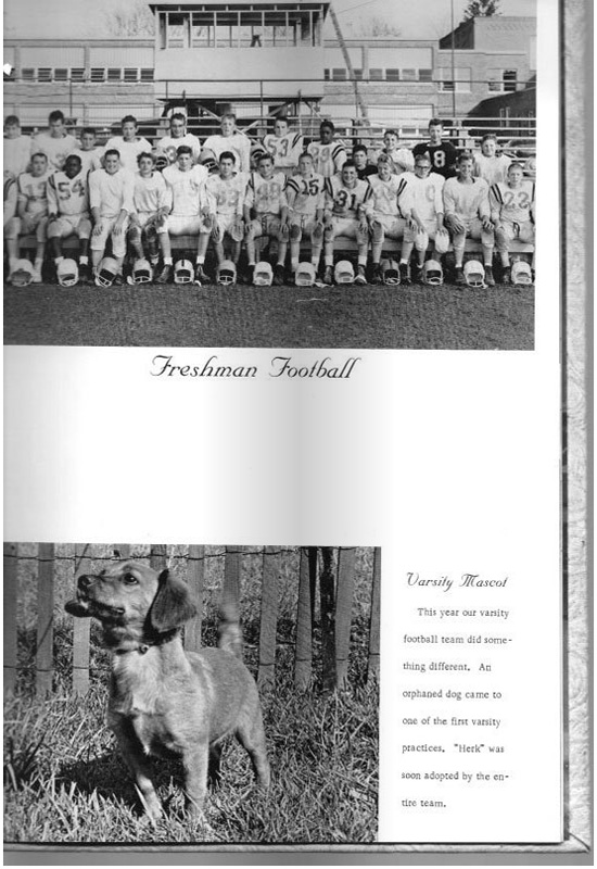 page-50.jpg