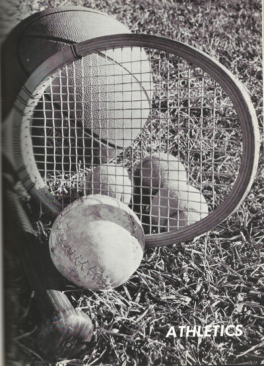 page-33.jpg