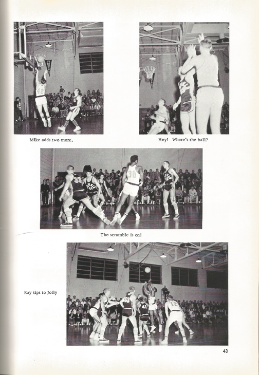 page-43.jpg