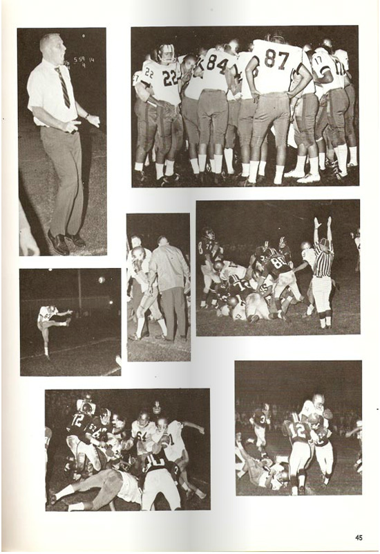 page-45.jpg