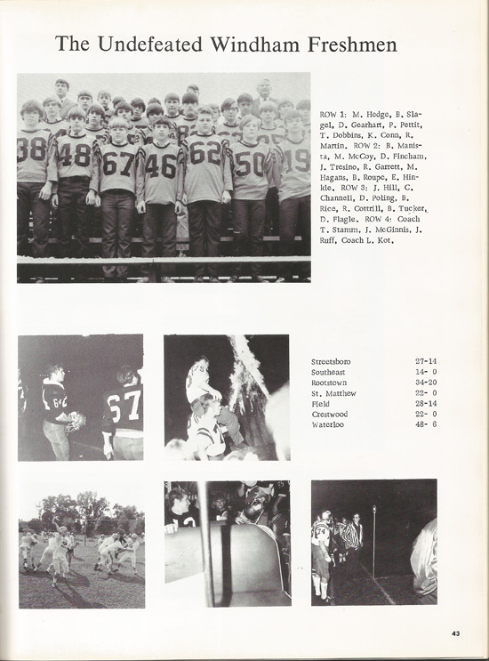 page-43.jpg