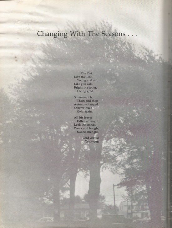 page-2.jpg